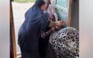 فيديو البلوجر زوبة تتعرض للضرب والسحل في مشاجرة.. تفاصيل مثيرة للجدل