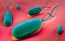 3 أعراض في المعدة لا تتجاهلها.. متى تحتاج إلى زيارة الطبيب؟ - eg