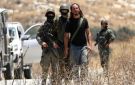 الأمم المتحدة: هجمات المستوطنين والقيود الإسرائيلية دفعت 6500 فلسطيني للنزوح من الضفة