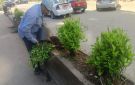 محافظ الجيزة: التوسع في التشجير وتجميل الطرق والميادين بعدد من الأحياء - eg
