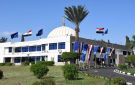 ذبح كلب داخل جامعة مصرية يثير ضجة.. وبيان عاجل يوضح