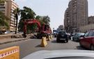  ملف قطع الأشجار أصبح غير مفهوم .. تامر الشهاوي ينتقد التصريحات الحكومية المتضاربة - eg