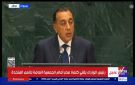 أستاذ علاقات دولية: كلمة مصر بالأمم المتحدة عكست تحركاتها ودعمت حل الدولتين - eg