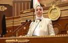 وفاء رشاد: زيارة الرئيس الصيني رسالة ثقة بمصر - eg