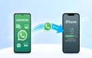 خطوات نقل محادثات واتساب من أندرويد إلى iPhone 18 Pro دون مسح البيانات - eg