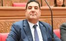 برلماني: العلمين للطيران يعكس قدرة مصر على تنظيم الفعاليات الدولية