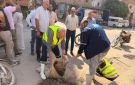 رئيس مياه القليوبية يتابع استعدادات الشركة لاستقبال فصل الشتاء وجاهزية المعدات وبلاعات صرف الأمطار