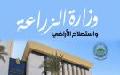 كيف تصل المحاصيل المصرية إلى الأسواق العالمية؟.. الزراعة تدرب 70 قياديا