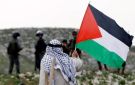 محمود الهباش يحذر من اتجاه العالم نحو شريعة الغاب 