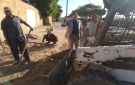 الأقصر تعيد استخدام بلاط الإنترلوك في تطوير الشوارع والمدارس