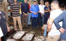 محافظ دمياط يزور عزبة البرج ويتفقد حلقة السمك ومصنع الثلج