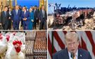 أخبار التوك شو محافظ جنوب سيناء: 22 وفاة و28 إصابة في حادث أتوبيس طريق دهب - نويبع.. قبل عودة المدارس.. شعبة الدواجن تكشف عن مفاجأة بشأن أسعار الفراخ والبيض - eg