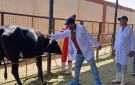 بيطرى أسوان : تحصين أكثر من 45 ألف حيوان و64 ألف طائر ضد الأمراض الوبائية - eg