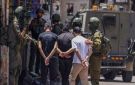 تامر أمين: لا تنتظروا استيقاظ العالم .. الكلمة والحقيقة سلاح لدعم فلسطين فيديو