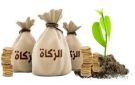 هل تتحمل الزوجة ذنب عدم إخراج الزوج للزكاة؟.. أمين الإفتاء يجيب