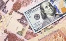 الدولار يعاود الصعود ويرتفع فوق مستوى الـ 51 جنيها عاجل