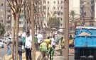 رئيس جهاز شؤون البيئة الأسبق: مفتاح نجاح ملف التشجير يبدأ من تخطيط طويل المدى