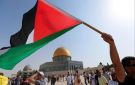 أستاذ قانون دولي: الخطاب العالمي تجاه القضية الفلسطينية يتغير.. والمطلوب إجراءات عملية