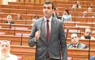 لماذا يدفع المواطن ثمن الإخفاقات مرتين؟.. سؤال برلماني عن فاتورة واردات الغاز وتراجع الإنتاج المحلي