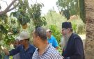  الزراعة تتحرك لحماية محاصيل سيناء.. جولات ميدانية وحملات تفتيشية مكثفة