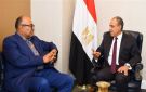 وزير الخارجية ونظيره التنزاني يبحثان سبل تعزيز العلاقات الثنائية وتنسيق المواقف إزاء القضايا الإقليمية - eg