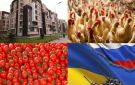 خبر سار من الإسكان للمواطنين بشأن طرح 25 ألف وحدة جديدة.. ونقيب الفلاحين يحذر: الطماطم قد تصل إلى 40 جنيها للكيلو في أكتوبر أخبار التوك شو