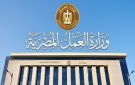 200 فرصة لعمال النخيل بالواحات البحرية.. براتب 9 آلاف جنيه