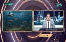 اكتشاف مقبرة لأسماك قرش في الصحراء الغربية.. د. محمد قرني يكشف التفاصيل