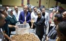 محافظ الوادي الجديد تتابع أعمال توريد وفرز البلح بمجمع التمور بالخارجة