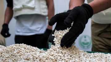 سوريا تضبط 11 مليون قرص كبتاغون قادمة من لبنان