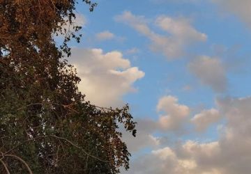 طقس العراق: أجواء معتدلة مع ارتفاع طفيف بدرجات الحرارة