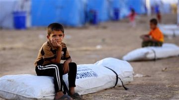 الهجرة النيابية: 50 ألف أسرة نازحة تعاني من نقص الخدمات الهجرة النيابية: 50 ألف أسرة نازحة تعاني من نقص الخدمات