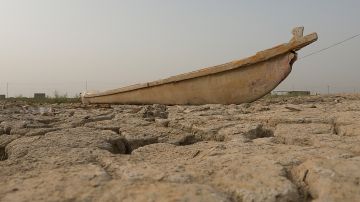 نائب: نزوح سكان الأهوار تضاعف ثلاث مرات بسبب الجفاف نائب: نزوح سكان الأهوار تضاعف ثلاث مرات بسبب الجفاف