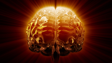 باحثون يحددون الأطعمة والمشروبات الأكثر ضررا على الدماغ