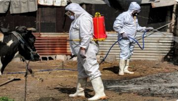 ذي قار تنفي تسجيل إصابات بالحمى النزفية