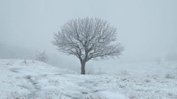 العراق يتأثر بمنخفض جوي قطبي ابتداء من الغد