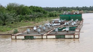 عبر ردم بحيرات الأسماك.. صلاح الدين تعتزم البدء بمشروع حماية المياه الجوفية