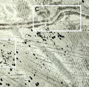العراق.. اكتشاف منظومة ري جنوبي البلاد تعود إلى 600 سنة قبل الميلاد (صور) العراق.. اكتشاف منظومة ري جنوبي البلاد تعود إلى 600 سنة قبل الميلاد (صور)