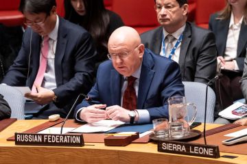 نيبينزيا: روسيا تدعم سيادة العراق وتعارض أي تدخل خارجي في شؤونه