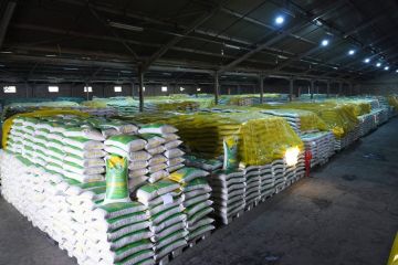 التجارة : لدينا خزين كاف وآمن من مواد السلة الغذائية