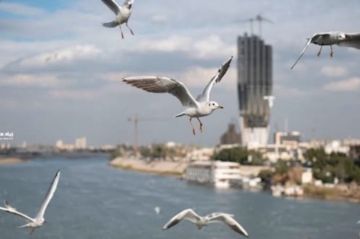 الأنواء الجوية: أمطار رعدية متفرقة في مناطق من البلاد الأنواء الجوية: أمطار رعدية متفرقة في مناطق من البلاد