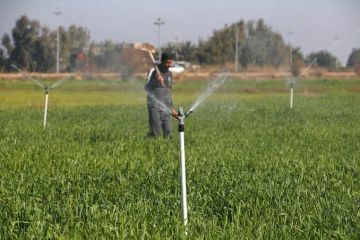 الزراعة تعلن استحصال موافقة رئيس الوزراء على إقرار الخطة الزراعية الشتوية