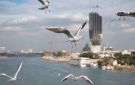 الأنواء الجوية: أمطار رعدية متفرقة في مناطق من البلاد