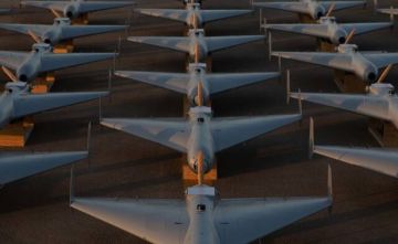 الغضب الملحمي يكشف سلاحا جديدا.. ما هي كاميكازي أمريكا منخفضة التكلفة؟ الغضب الملحمي يكشف سلاحا جديدا.. ما هي كاميكازي أمريكا منخفضة التكلفة؟