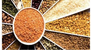 العراق بصدارة المستوردين للحبوب والبذور الزيتية من بحر إيجه