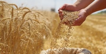 وزير التجارة يعلن صرف 100 مليار دينار من مستحقات الفلاحين والمزارعين