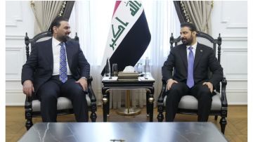 رئيسا الوزراء والبرلمان يؤكدان أهمية تكامل عمل السلطتين التنفيذية والتشريعية لتشريع القوانين الداعمة لاولويات البرنامج الحكومي رئيسا الوزراء والبرلمان يؤكدان أهمية تكامل عمل السلطتين التنفيذية والتشريعية لتشريع القوانين الداعمة لاولويات البرنامج الحكومي