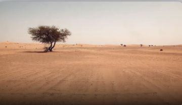 العراق يبدأ احتساب نسبة التصحر ويباشر بأقضية الناصرية والصويرة وتلعفر أول دراسة وطنية والنتائج قريبا العراق يبدأ احتساب نسبة التصحر ويباشر بأقضية الناصرية والصويرة وتلعفر أول دراسة وطنية والنتائج قريبا