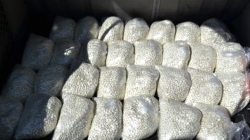 العراق.. ضبط نحو طنين من المخدرات وتفكيك 378 شبكة خلال نصف عام العراق.. ضبط نحو طنين من المخدرات وتفكيك 378 شبكة خلال نصف عام