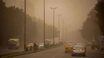 غدا الحرارة تتجاوز الـ 50 مئوية غدا الحرارة تتجاوز الـ 50 مئوية